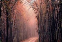 科特迪瓦年轻球员获得国际选拔赛资格