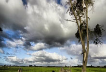 利物浦苦战不败尤文图斯，欧冠淘汰战暂居上风