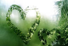 南美篮球冠军赛决出，五支豪强实力对决