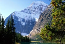 意大利女足惜败，无缘四强