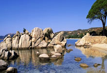 尤文图斯陷入困境，出局后球员情绪低落